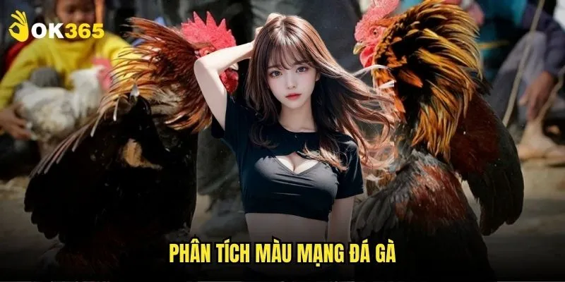 Màu mạng đá gà Ok365: Bí mật soi gà thắng 2 Phân tích màu mạng đá gà