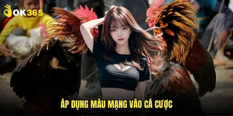 Màu mạng đá gà Ok365: Bí mật soi gà thắng 3 Áp dụng màu mạng vào cá cược