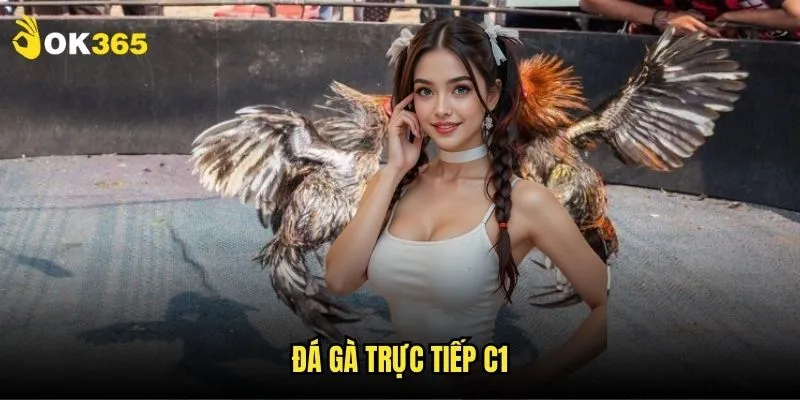 Đá gà trực tiếp C1 Ok365: Giải đấu hàng đầu 1 Đá gà trực tiếp C1