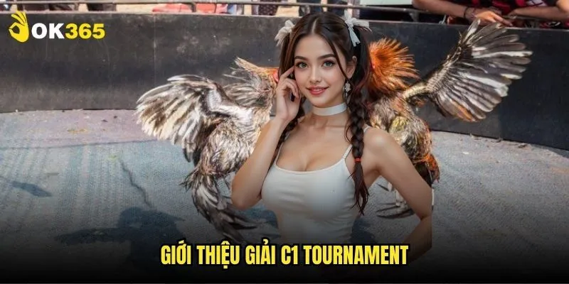 Đá gà trực tiếp C1 Ok365: Giải đấu hàng đầu 2 Giới thiệu giải C1 tournament