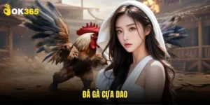Đá gà cựa dao Ok365: Loại hình cược cao cấp 11 Đá gà cựa dao