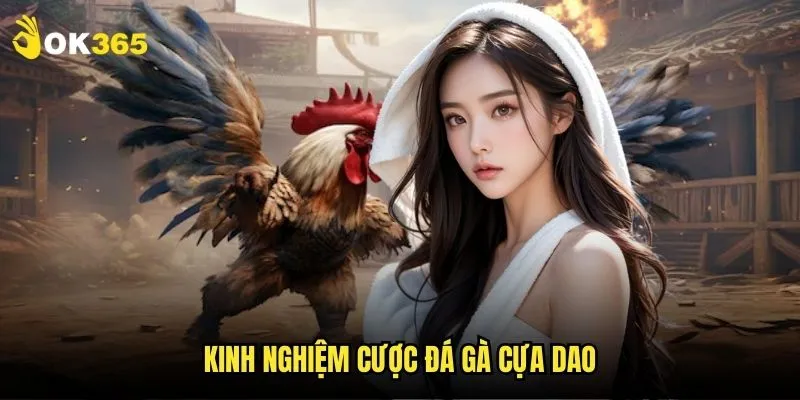 Đá gà cựa dao Ok365: Loại hình cược cao cấp 3 Kinh nghiệm cược đá gà cựa dao