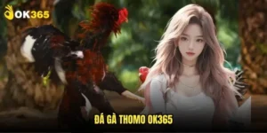 Đá gà Thomo Ok365: Sân chọi sôi động nhất 5 Đá gà Thomo Ok365