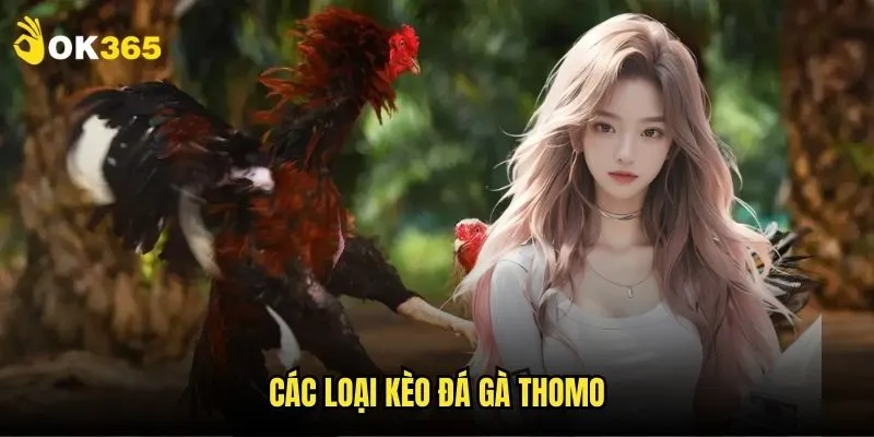Đá gà Thomo Ok365: Sân chọi sôi động nhất 3 Các loại kèo đá gà Thomo