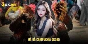 Đá gà Campuchia Ok365: Đẳng cấp cá cược quốc tế 1 Đá gà Campuchia Ok365