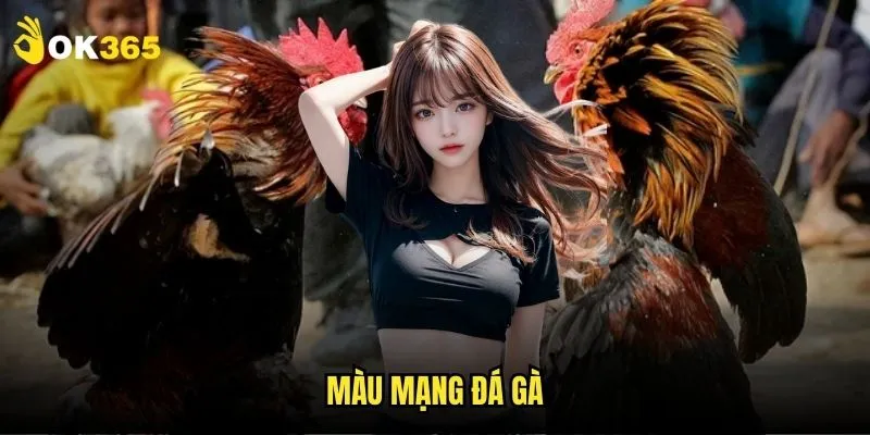 Màu mạng đá gà Ok365: Bí mật soi gà thắng 1 Màu mạng đá gà